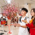Vietjet Mở Bán 3,1 Triệu Vé Tết Đinh Mùi 2027, Giá Từ 490.000 Đồng
