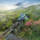 Những lưu ý quan trọng để có chuyến tàu về quê đón Tết trọn vẹn