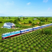 Vé tàu 2/9/2026: Chủ động đặt vé, an tâm về nhà và du lịch Quốc khánh